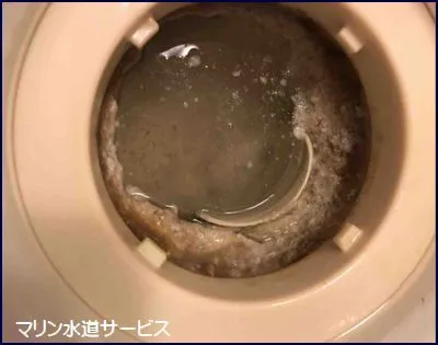 現地写真2